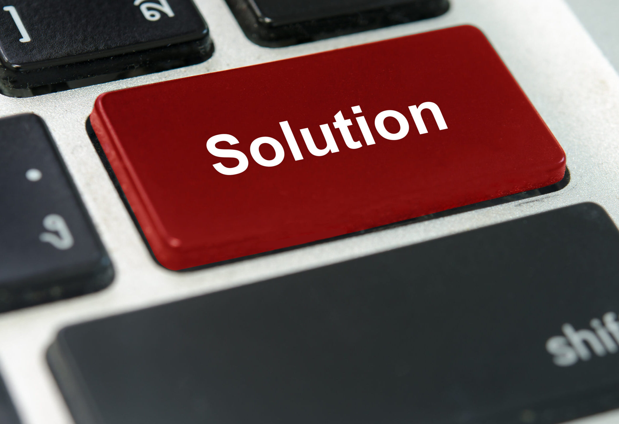 Squirrel Stock photos by Vecteezy